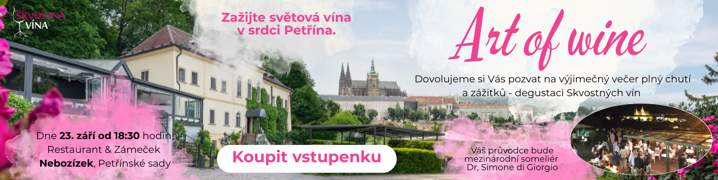 baner vstupenka